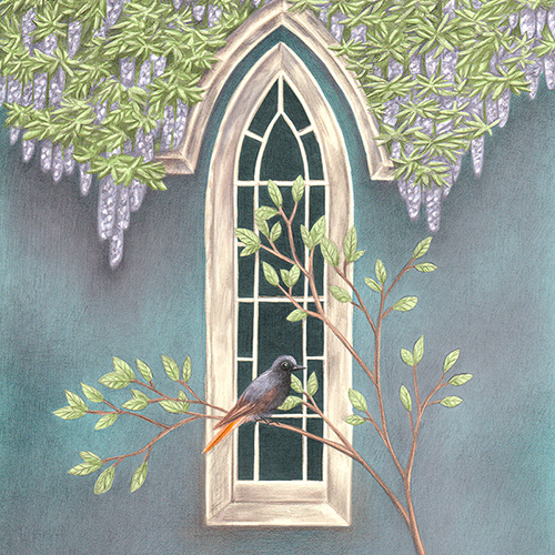 Illustration: Hausrotschwanz auf einem Zweig vor einem Fenster
