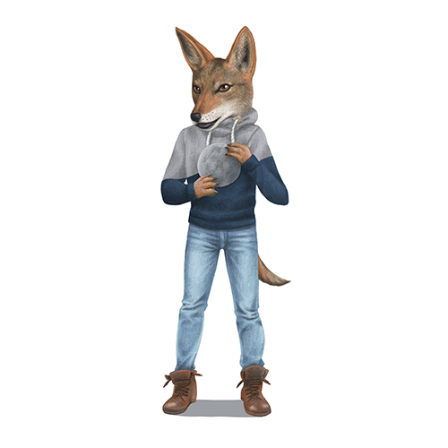 Illustration: Schakal-Charakter in Jeans und Sweatshirt